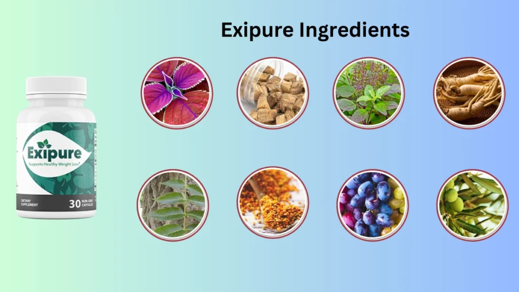 Ingredients-In-Exipure