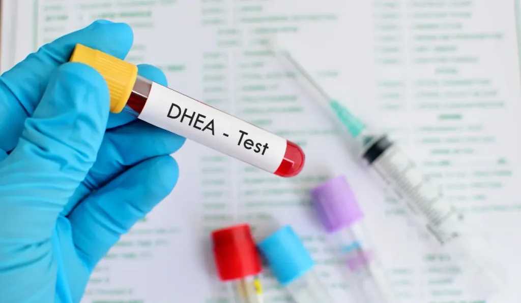 Hormone-Is-DHEA