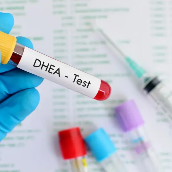 What Hormone Is DHEA? – Advantages and Drawbacks