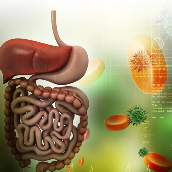 Boost Digestion: Learn the Best Ways to Improve Your Health and Well-Being