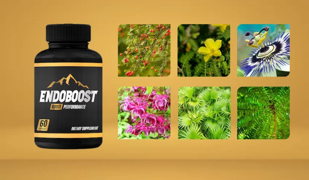 EndoBoost-Ingredients